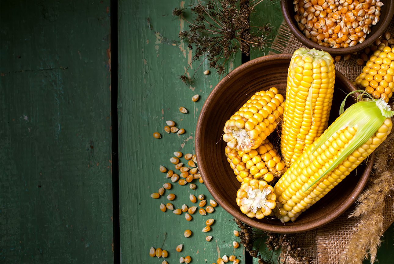 corn in a bowl